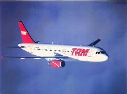 Airbus A320 - TAM Airlines - +/- 180 X 130 Mm. - Photo De Presse - Aviación