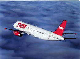 Airbus A320 - TAM Airlines - +/- 180 X 130 Mm. - Photo De Presse - Aviation