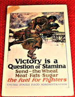 MILITARIA  USA - " Victory Is A Question Of Stamina - Send  The Wheat Meat, Fats, Sugar, The Fuel For Fighters "   - - Patrióticos