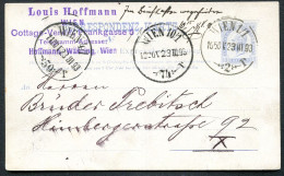 Rohrpost-Postkarte RP14bI Wien 1/1 1893 Kat.10,00€ - Tarjetas