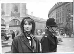 C6254/ Francoise Hardy Pressefoto Foto 29 X 20 Cm 1963 - Autres & Non Classés