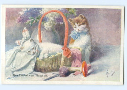 DP281/ K. Feiertag  Katzen AK Ca.1920 - Other & Unclassified