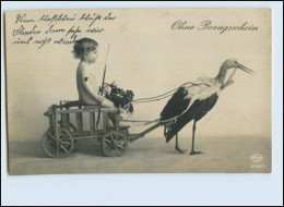 T3962/ Storch Und Baby  "Ohne Bezugssschein" Foto AK 1917 - Pájaros