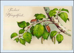 T2123/ Pfingsten Maikäfer Schöne Litho AK Ca.1925 - Pentecost