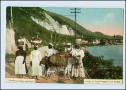 T076/ Jamaica  Going To Market   Rock Ford Road AK Ca.1912 - Altri & Non Classificati
