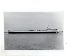 C1493/ Tanker Altanis Auf Hoher See Foto Ca. 1965 22,5 X 14,5 Cm - Commercio