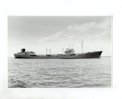 C1500/ Frachter Auf Hoher See Schiff Tanker Foto Ca. 1965 22 X 15,5 Cm - Commerce