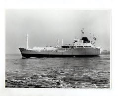 C1513/ Tanker Alphagas Vor Hafen Auf See Foto Ca. 1965 23 X 17,5 Cm - Cargos