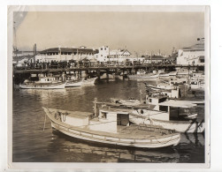 F6264/ San Francisco Fisherman`s Wharf Foto Ca.1955  USA 25 X 20.5 Cm - Unclassified