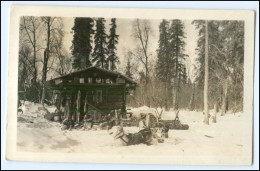 N4935/ Alaska Anchorage Foto AK 1936 Schlittenhunde - Sonstige & Ohne Zuordnung