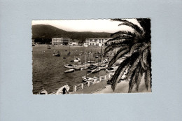 Sainte-Maxime (83) : Un Coin Du Port - Sainte-Maxime