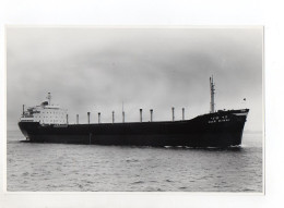 C1352/ Tanker  Frachter Mar Sinai Foto Ca.1965  23 X 15 Cm - Koopvaardij