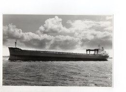 C1354/ Tanker Sighansa Auf Der Elbe  Foto Ca.1965  22,5 X 15 Cm - Koopvaardij