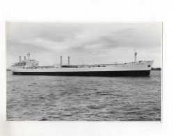 C1236/ Frachter Handelsschiff Tanker Almizar Foto 22,5 X 14,5 Cm Ca.1965 - Commerce