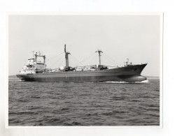 C1241/ Frachter Handelsschiff Carlo Porr  Foto Ca.1965 23 X 16,5 Cm - Koopvaardij