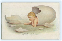 W6A98/ Hallo! Da Bin Ich.  Baby Schlüpft Aus Ei, Künstler AK  Ca.1912 - Autres & Non Classés