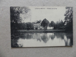 Loisy-sur-Marne Chateau De Loisy Boureille - Autres & Non Classés