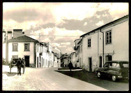 PORTALEGRE - Um Trecho Da Rua Alexandre Herculano(Ed.Exclusivo Da Casa Lusitana/Cliché Carlos Marques Nº16)carte Postale - Portalegre