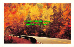 R520785 Kancamagus Highway. White Mountains. Chuck Theodore Rivendell Art Photog - Monde