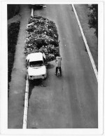 Photo Artistique - Paysage Urbain - Carrosserie De Voiture Renault 8, Déchets De Rue, Cycliste - Belgrade, 1983 - Automobiles