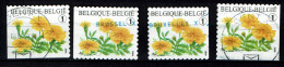 België OBP 3785 - Bloemen, Fleurs, Flowers, Afrikaantje, Uit Boekje B91 - Usados