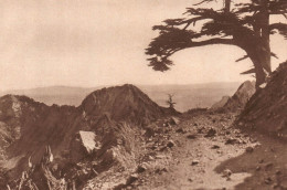 Algerie 1934, Un Chemin Sur Les Cretes Du Djurjura, Stampa, Vintage Print - Estampes & Gravures