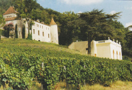 France CPA Luzech Le Chateau De Caix Propriété Majesté Margreth II. Du Danemark 1995 VEDBÆK Denmark (2 Scans) - Cahors