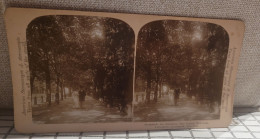 American Stereoscopes. Promenade Des Amoureux, Parc Central, New York - Central Park