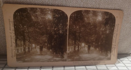 American Stereoscopes. Promenade Des Amoureux, Parc Central, New York - Stereoscopes - Side-by-side Viewers