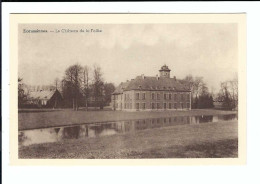 Ecaussinnes - Le Château De La Follie - Ecaussinnes