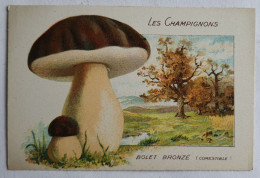 CHROMO CHAMPIGNON LES CHAMPIGNONS BOLET BRONZE - Sonstige & Ohne Zuordnung