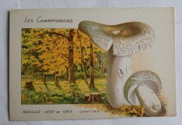 CHROMO CHAMPIGNON LES CHAMPIGNONS RUSSULE VERT-DE-GRIS - Other & Unclassified