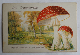 CHROMO CHAMPIGNON LES CHAMPIGNONS FAUSSE ORONGE - Otros & Sin Clasificación