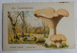 CHROMO CHAMPIGNON LES CHAMPIGNONS HYDNE SINUE - Andere & Zonder Classificatie