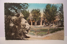 IFRANE   -  Le Lion Et L'Hotel Felix  -  ( Pas De Reflet Sur L'original ) - Autres & Non Classés