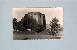 Saint Pée Sur Nivelle (64) : Ruines Du Chateau Des Combes De Saint Pée, Appelé Aussi "La Tour Des Sorciers" - Andere & Zonder Classificatie
