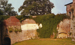 1-62588 02 01 - MONTREUIL - TOUR DE LA REINE BERTHE ET TOURS DU CHÂTEAU - Montreuil