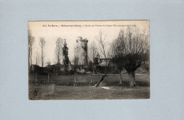 Mehun-sur-Yèvre (18) : Ruines Du Chateau De Charles VII, Vues Des Prés à L'Est - Mehun-sur-Yèvre