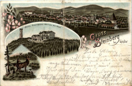 Gruss Aus Steinberg Bei Goslar - Litho 1896 - Goslar