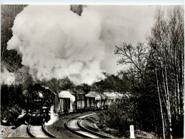 Eisenbahn In Erla - Schwarzenberg (Erzgeb.)