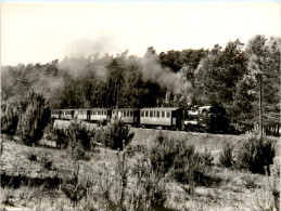 Schmalspurbahn Putbus - Göhren - Trenes