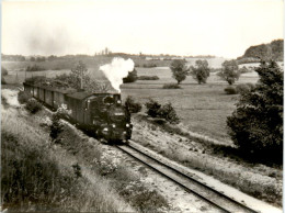 Schmalspurbahn Putbus Göhren - Treni