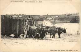 Um Carro Puchado A Bois, Arredores De Lisboa - Lisboa