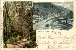 Gruss Aus Wildbad - Litho - Sign. Munch - Calw