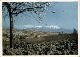 Vorfrühling In Südbulgarien - Bulgarien