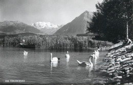 Postcard Switzerland Am Thunersee Swan - Autres & Non Classés