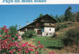 CPM - P - HAUTE SAVOIE - PAYS DU MONT BLANC - A SITUER - Other & Unclassified