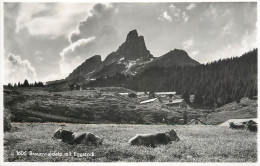 Postcard Switzerland Braunwaldalp Egstock - Sonstige & Ohne Zuordnung