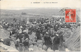 OUESSANT - La Foire Aux Moutons - Ouessant