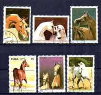 Cuba 1995 Chevaux (5) Yvert N° 3455 à 3460 Oblitéré Used - Gebruikt